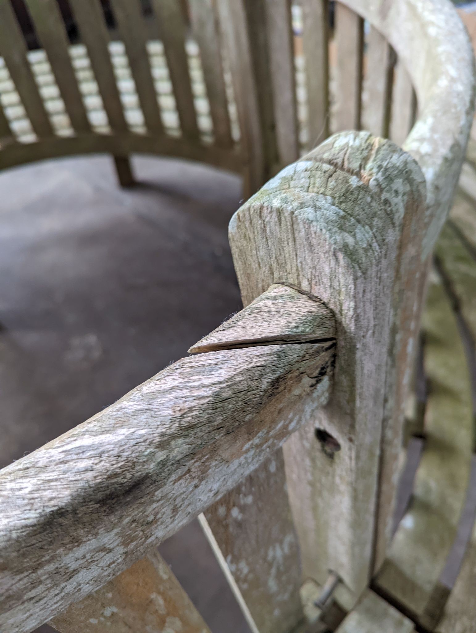 A weathered teak four section tree seat, aperture 90cm diameter, the seat 200cm diameter, height 90cm